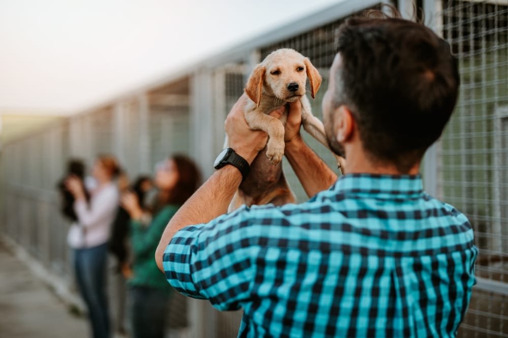 Hombre alzando a perrito para adopciòn de mascotas en San Diego