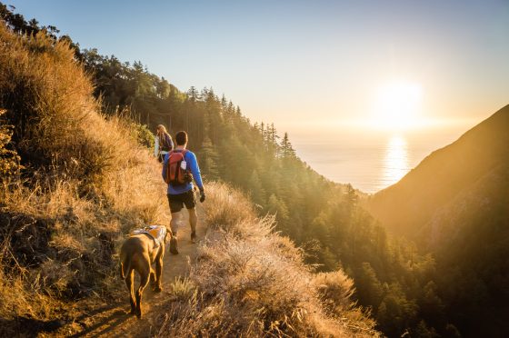 Mujer, hombre y perro avanzando bajo el sol para hacer hiking en California
