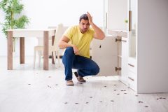 Hombre preocupado por tener una plaga de los insectos más comunes en casa