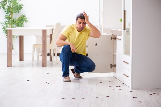 Hombre preocupado por tener una plaga de los insectos más comunes en casa