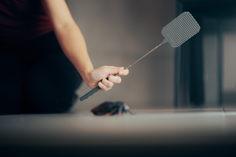 Mujer con matamoscas para atrapar insectos más comunes en casa