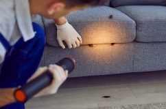 Hombre inspeccionando una casa con plagas - El seguro de casa en California cubre plagas - Cost-U-Less