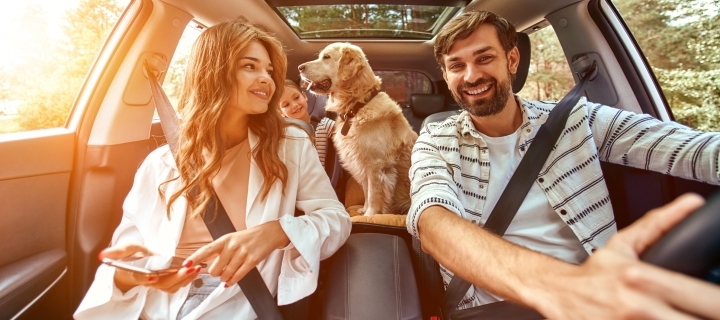 Familia con mascota a bordo de auto.